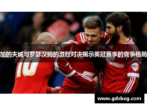 加的夫城与罗瑟汉姆的激烈对决揭示英冠赛季的竞争格局