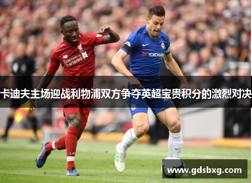 卡迪夫主场迎战利物浦双方争夺英超宝贵积分的激烈对决