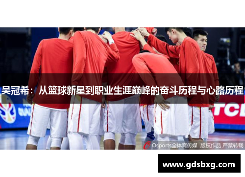 吴冠希：从篮球新星到职业生涯巅峰的奋斗历程与心路历程