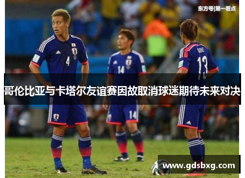 哥伦比亚与卡塔尔友谊赛因故取消球迷期待未来对决