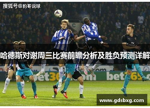 哈德斯对谢周三比赛前瞻分析及胜负预测详解