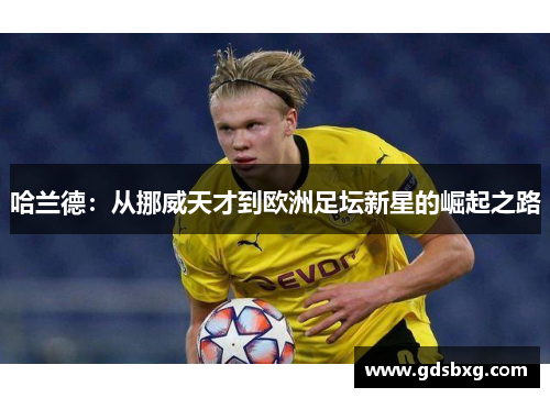 哈兰德：从挪威天才到欧洲足坛新星的崛起之路