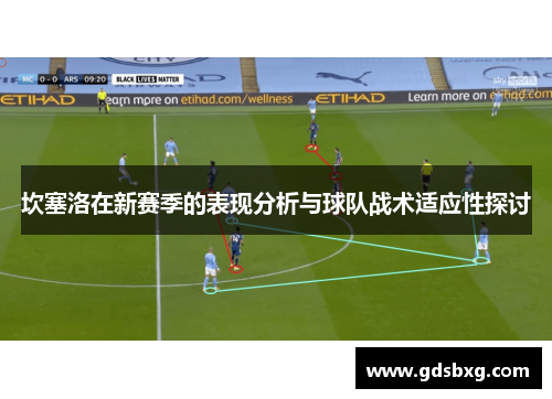 坎塞洛在新赛季的表现分析与球队战术适应性探讨